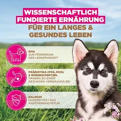Eukanuba Grain Free Puppy Large & Giant Breed su jūrų žuvimi, sausas maistas šuniukams, > 10 kg — 5 nuotrauka