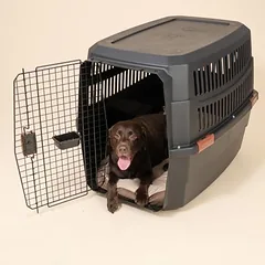 TIAKI Transportbox mit Rollen, schwarz