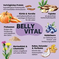 BugBell BugKeks Belly Vital virškinimui ir žarnyno florai, skanėstai šunims — 2 nuotrauka
