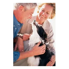 PetSafe ultragarsinis nuotolinio valdymo dresavimo pultelis šunims ir katėms