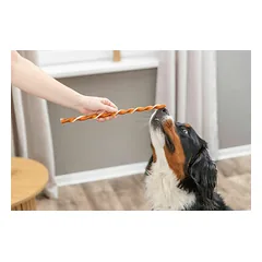Trixie Twisters su vištiena (34 cm), skanėstai šunims 40 g — 4 nuotrauka