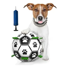 Wasserdichter und robuster Hundeball, interaktives Spielzeug