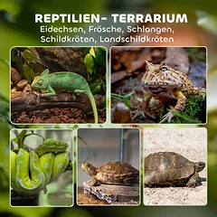 Stiklinis terariumas 50 × 30 × 35 cm — 4 nuotrauka