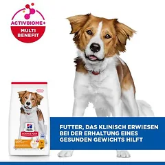 Hill's Science Plan Adult 1-6 Light Medium su vištiena, sausas maistas šunims — 3 nuotrauka