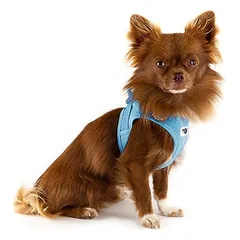 Curli Vest Clasp Air-Mesh petnešos šunims, dangaus mėlio, Labai mažiems < 4 kg — 3 nuotrauka