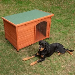 zooplus Exclusive būda šunims Woody, plokščiu stogu, Dydis L: B 115 x T 76 x H 80 cm — 2 nuotrauka