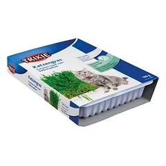 Trixie Cat Grass žolė katėms dubenyje, 100 g