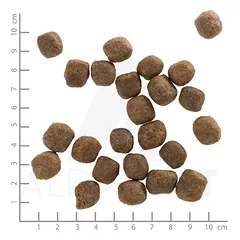 WOLFSBLUT Cold River Adult sausas maistas suaugusiems šunims su upėtakiu ir batatais, 2 kg — 4 nuotrauka