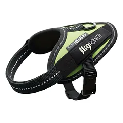 Julius - K9 IDC Powerharness Neon - aukštos kokybės šunų pakinktai, neoniniai, Zielone / 4 — 2 nuotrauka