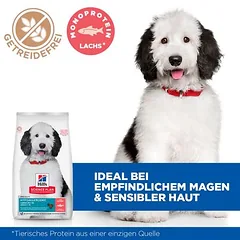 Hill's Science Plan Hypoallergenic Adult Large su lašiša, sausas maistas šunims — 3 nuotrauka