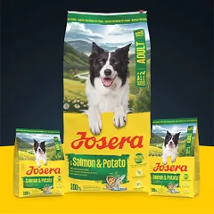 Josera All Size Salmon&Potato sausas maistas šunims, 900 g — 2 nuotrauka