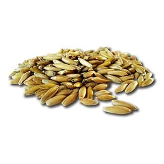 Pavo Goldhafer