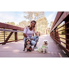 Automatinis dvigubas pavadėlis Wigzi Dual doggie retractable leash — 2 nuotrauka