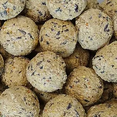 KLASEBO Meisenknödel ohne Netz für Wildvögel, Großpackung