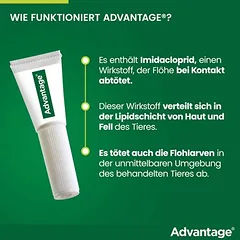 Advantage® 40 šunims, iki 4 kg, 4 pipetės x 0,4 ml — 4 nuotrauka