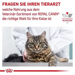Royal Canin Veterinary Feline Renal padaže, drėgnas maistas katėms — 4 nuotrauka