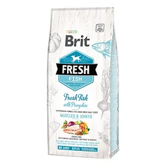 Brit Fresh Fish with Pumpkin Adult Large sausas maistas šunims