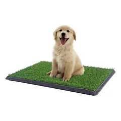 Žolės patiesalo dėžė šuniukams ir suaugusiems šunims Pet Pooty XL 76x50x3 cm