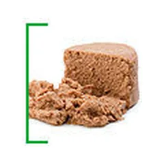 Royal Canin SHN Starter Mousse drėgnas maistas šunims 195g — 2 nuotrauka