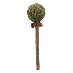 Trixie Matatabi žaislas katei lazdelė su katžolės kamuoliuku, 11 cm