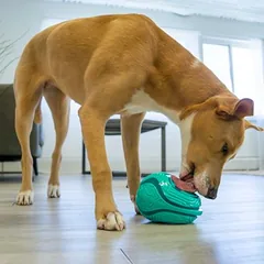KONG Licks Rewards žaislas šunims, Dideliems 26–45 kg — 2 nuotrauka