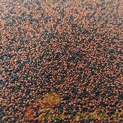 Dajana Mini tropical pellets (sveriamas)
