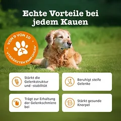Zesty Paws Senior Hip & Joint Chews su kalakutiena, papildas, 90 kramtomųjų tablečių — 3 nuotrauka