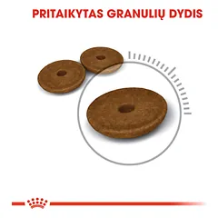 ROYAL CANIN FCN Digestive care sausas maistas sauaugusioms, jautresnį virškinimą turinčioms, katėms 2 kg — 4 nuotrauka