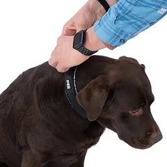 TIAKI Reflective antkaklis, Mažiems 5–10 kg — 5 nuotrauka