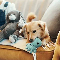 Nobleza pliušinis aštuonkojis žaislas šunims — 5 nuotrauka