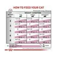 Royal Canin Vet VD Early Renal veterinarinis drėgnas maistas katėms 12x85g — 3 nuotrauka