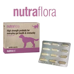 NUTRAVET Nutraflora šunims ir katėms 48 kapsulės - didelio stiprumo probiotikas kasdieniam žarnyno ir imuninės sistemos sveikatinimui