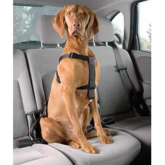 Europet Bernina D&D Dog-Secure automobilinė saugos diržų sistema šunims, XS, krūtinės apimtis 20-50 cm
