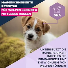 Eukanuba Premium Nutrition Puppy Small & Medium Breed su ėriena ir ryžiais, sausas maistas šuniukams, 3 - 4,9 kg — 4 nuotrauka