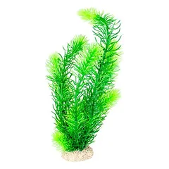 Aqua Della akvariumo augalas šiurkštusis plūdenis, Matmenys: 32 cm — 2 nuotrauka