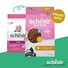 Schesir Kitten mit Huhn