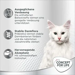 Concept for Life Sensitive Paste — 4 nuotrauka
