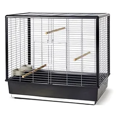 Nobby Vogelheim Noah 60