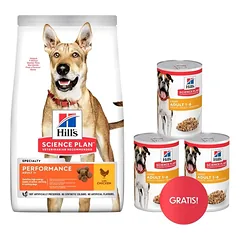 HILL'S Canine Adult 1+ Performance 14 kg sausas pašaras aktyviems suaugusiems šunims su vištiena + 3 skardinės HILL'S šlapio pašaro dovanų.
