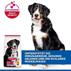 Hill's Science Plan Adult 1-5 Large su vištiena, sausas maistas šunims, 5 - 9,9 kg — 4 nuotrauka