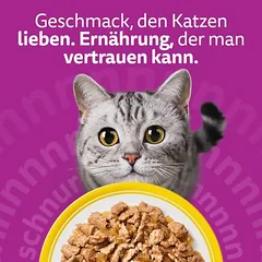 Whiskas Megapack 1+ Adult maišeliai, drėgnas maistas katėms 24 x 85 g — 5 nuotrauka