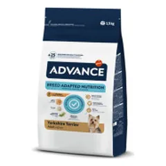 Advance Yorkshire Terrier Adult sausas pašaras šunims