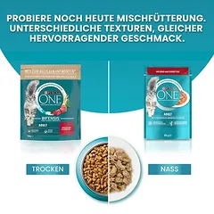 PURINA ONE Adult su jautiena ir pilno grūdo javais, sausas maistas katėms — 5 nuotrauka