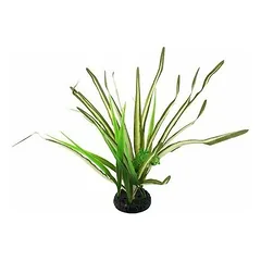 Repti Planet Spartina Grass 30 cm parduotuvėje 1petshop.lt