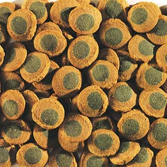 Tetra Pleco Spirulina wafers (sveriamas)