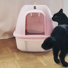 TIAKI Haubentoilette Pixie, Groß > 5 kg — 4 nuotrauka