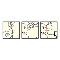 Dermoscent PYOclean Oto šunims ir katėms 5 ml N10 — 4 nuotrauka