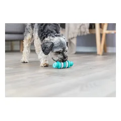 TRIXIE Denta Fun kaulas, mėtų skonio, nat.guma, 15 cm (pak.3), 1 vnt. — 4 nuotrauka