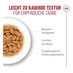 Royal Canin Ageing 11+ padaže, drėgnas maistas katėms — 3 nuotrauka