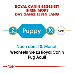 Royal Canin Pug Puppy sausas maistas šunims — 4 nuotrauka